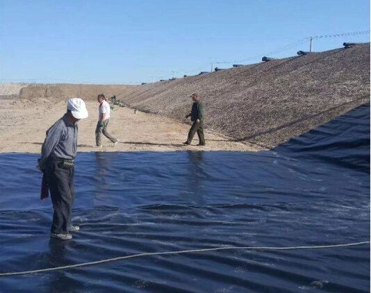 復合土工膜施工現場